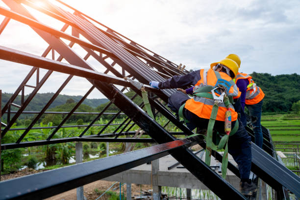 Best Roof Gutter Cleaning  in Ridgeland, MS