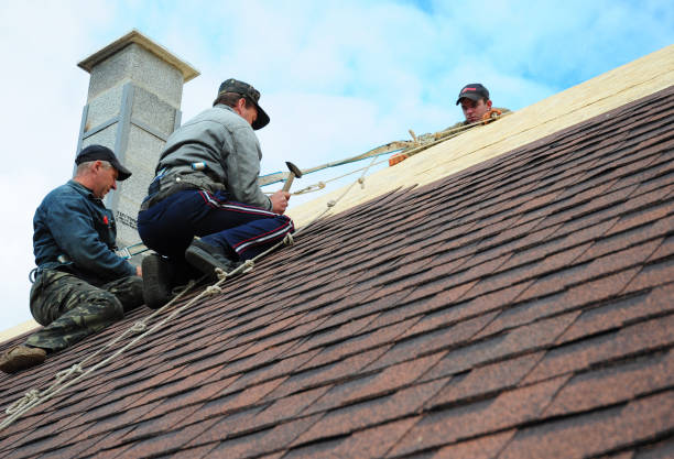 Best Gutter Installation and Roofing  in Ridgeland, MS